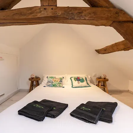Au 56 - Centre - Quartier Saint-leonard Tatil Evi *